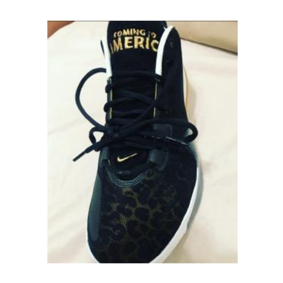 ￼

PRICE DROP

Nike Zoom Freak 1 Coming to America - Picture 2 of 7